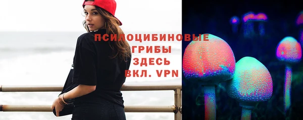 синтетический гашиш Алексеевка